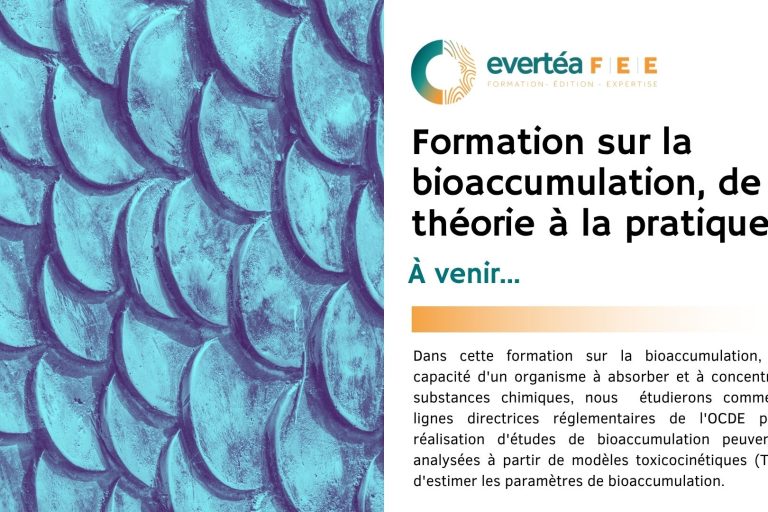 Bioaccumulation