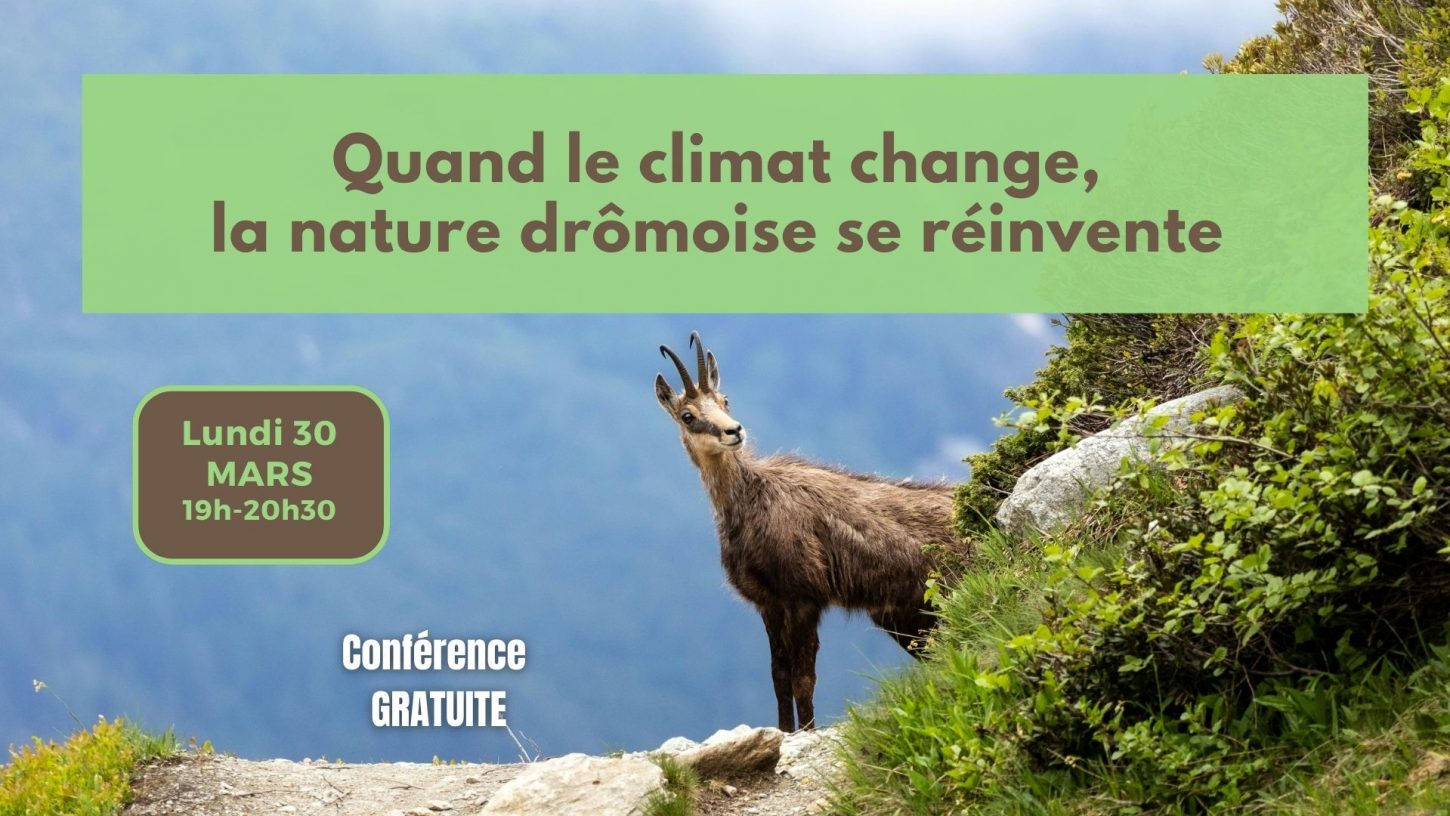 Conf 30 mars 2026 – post allongé