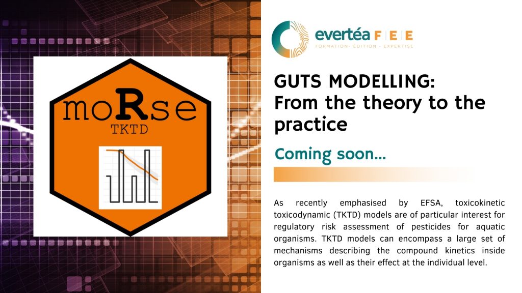 GUTS MODELLING: From the theory to the practice