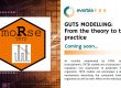 GUTS MODELLING: From the theory to the practice