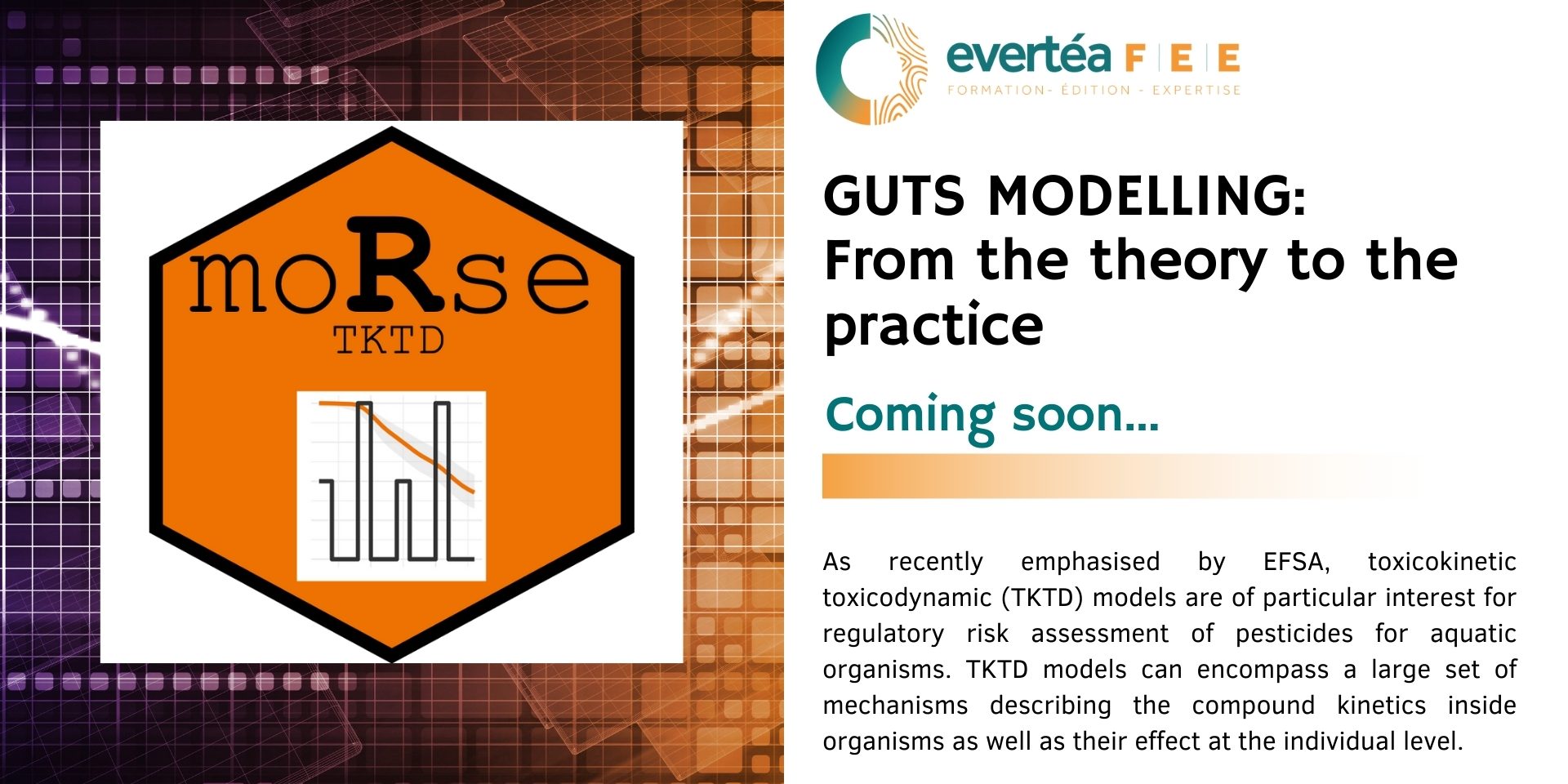 GUTS MODELLING: From the theory to the practice