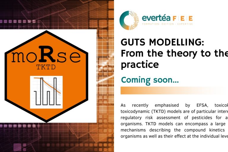 GUTS MODELLING GUTS MODELLING: From the theory to the practice