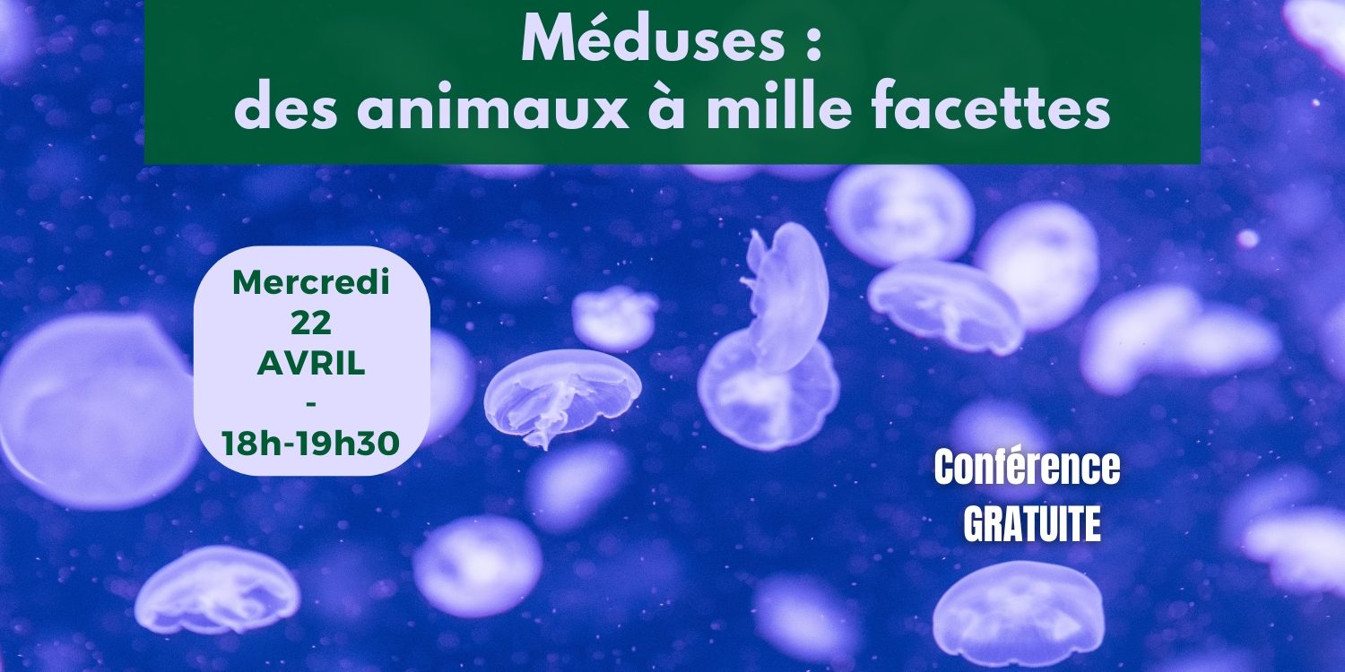 Conf 22 avr 2026 – post allongé