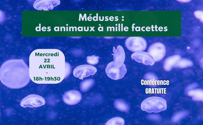 Conf 22 avr 2026 – post allongé