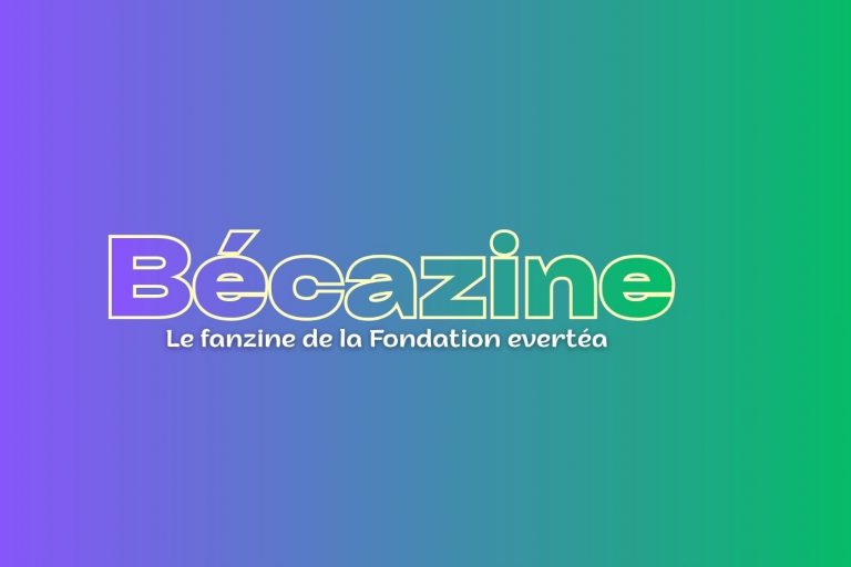 identité magazine Bécazine
