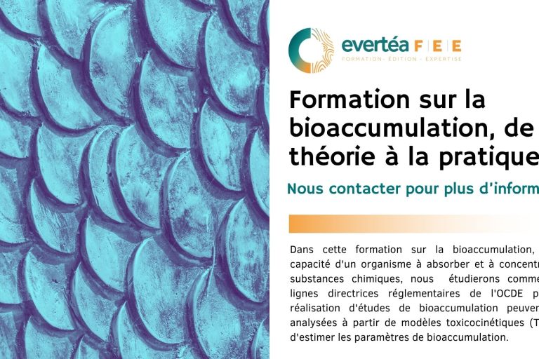 Bioaccumulation