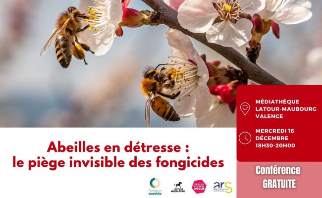 Conf 16 décembre 2026 – post allongé